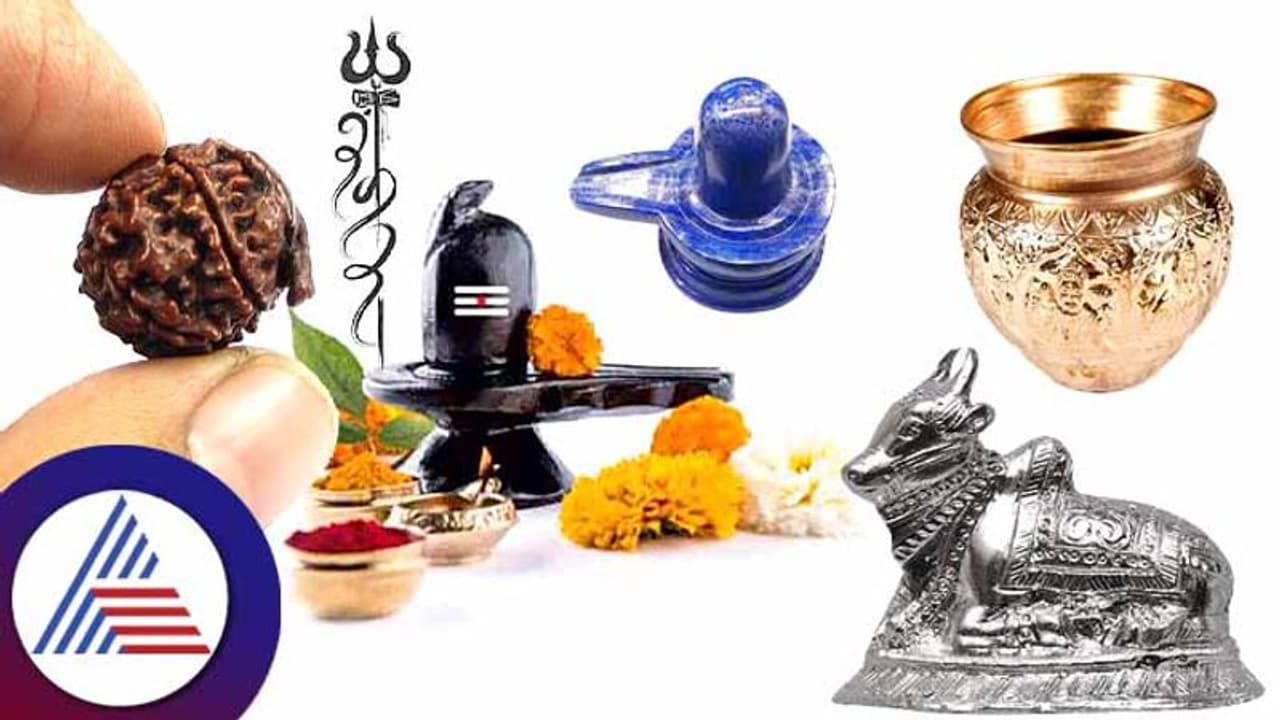 Mahashivratri : ಮಹಾಶಿವರಾತ್ರಿ ದಿನ ತಪ್ಪದೆ ಈ ವಸ್ತುವನ್ನು ಮನೆಗೆ ತನ್ನಿ Mahashivratri : ಮಹಾಶಿವರಾತ್ರಿ ದಿನ ತಪ್ಪದೆ ಈ ವಸ್ತುವನ್ನು ಮನೆಗೆ ತನ್ನಿ