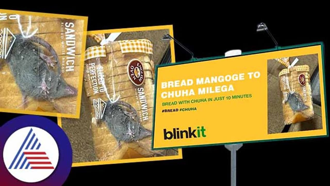 ಆನ್ಲೈನ್ನಲ್ಲಿ ಆರ್ಡರ್ ಮಾಡಿದ ಬ್ರೆಡ್ ಪ್ಯಾಕೆಟ್ನೊಳಗಿತ್ತು ಜೀವಂತ ಇಲಿ! ಆನ್ಲೈನ್ನಲ್ಲಿ ಆರ್ಡರ್ ಮಾಡಿದ ಬ್ರೆಡ್ ಪ್ಯಾಕೆಟ್ನೊಳಗಿತ್ತು ಜೀವಂತ ಇಲಿ!