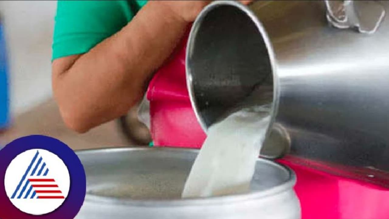 ಶಿರಸಿ: ಹಾಲು ಉತ್ಪಾದನೆ ಗಣನೀಯ ಇಳಿಕೆ: ಹೊರಗಿನಿಂದ ತರುವ ಸ್ಥಿತಿ ನಿರ್ಮಾಣ ಶಿರಸಿ: ಹಾಲು ಉತ್ಪಾದನೆ ಗಣನೀಯ ಇಳಿಕೆ: ಹೊರಗಿನಿಂದ ತರುವ ಸ್ಥಿತಿ ನಿರ್ಮಾಣ