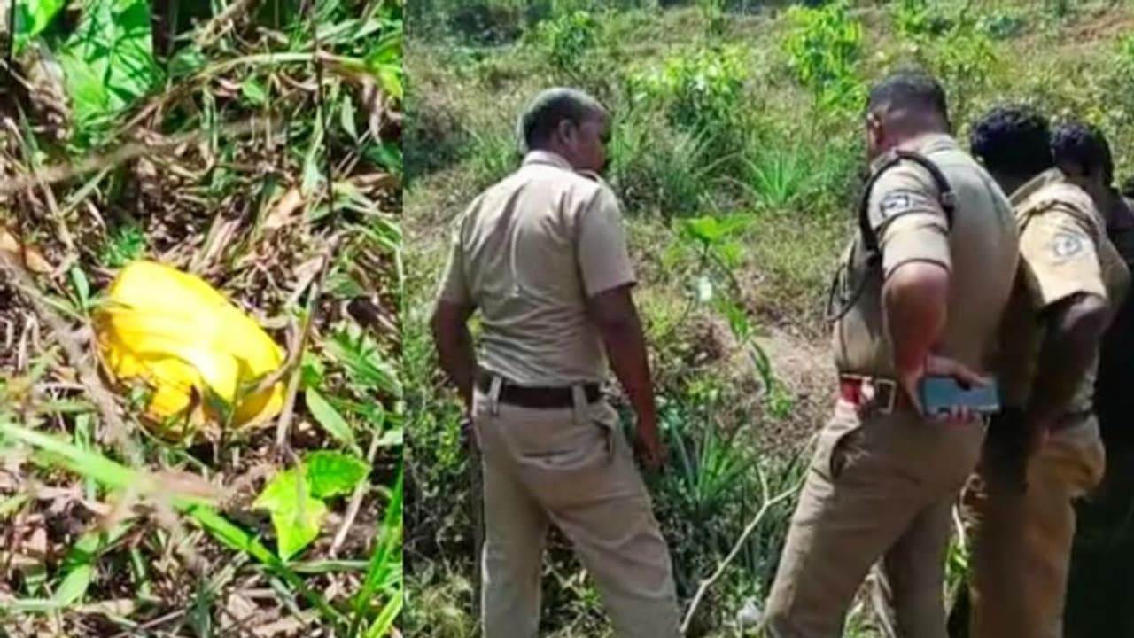 തൊഴിലുറപ്പ് ജോലികൾക്കിടെ മഞ്ഞ നിറത്തില് ഒരു വസ്തു കണ്ടെത്തി, പരിശോധിച്ചപ്പോള് നാടന് ബോംബ് തൊഴിലുറപ്പ് ജോലികൾക്കിടെ മഞ്ഞ നിറത്തില് ഒരു വസ്തു കണ്ടെത്തി, പരിശോധിച്ചപ്പോള് നാടന് ബോംബ്