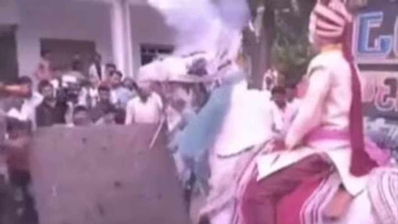 അപ്രതീക്ഷിതമായി പടക്കം പൊട്ടി, പേടിച്ചരണ്ട കുതിര വരനുമായി ഓടിപ്പോയി അപ്രതീക്ഷിതമായി പടക്കം പൊട്ടി, പേടിച്ചരണ്ട കുതിര വരനുമായി ഓടിപ്പോയി