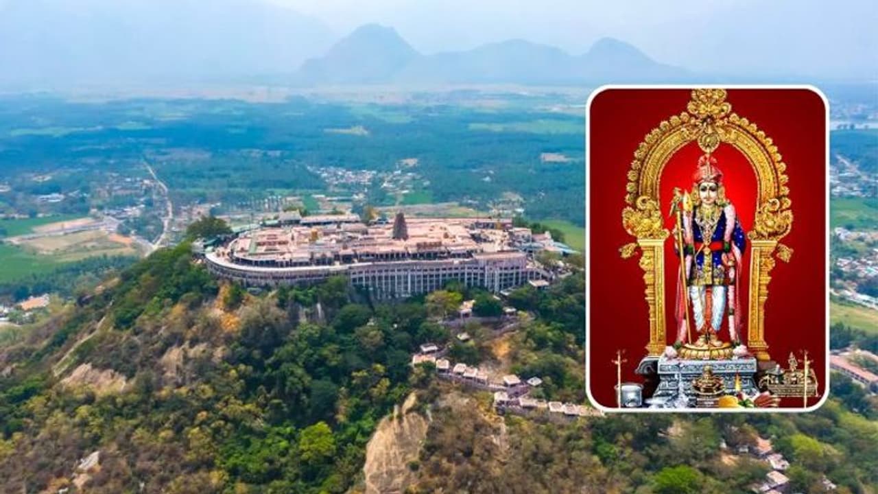 Palani: பழனி தண்டாயுதபாணி சுவாமி கோவிலில் வேலைவாய்ப்பு.. 281 காலியிடங்கள் விண்ணப்பிப்பது எப்படி.? Palani: பழனி தண்டாயுதபாணி சுவாமி கோவிலில் வேலைவாய்ப்பு.. 281 காலியிடங்கள் விண்ணப்பிப்பது எப்படி.?