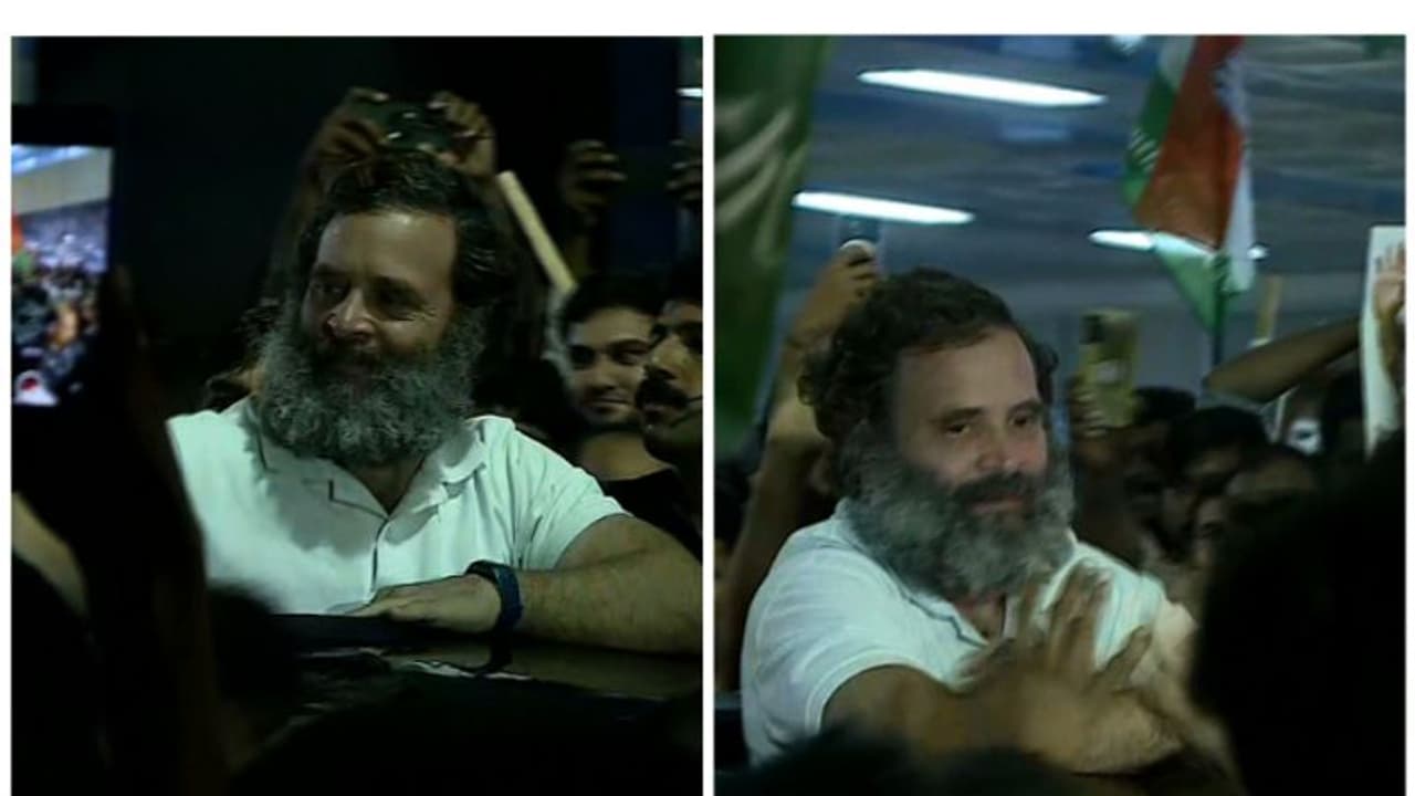 രാഹുൽ ഗാന്ധി വയനാട്ടിൽ; ഔദ്യോഗിക യോഗങ്ങളിലും പൊതുസമ്മേളനത്തിലും പങ്കെടുക്കും, രാത്രി മടക്കം രാഹുൽ ഗാന്ധി വയനാട്ടിൽ; ഔദ്യോഗിക യോഗങ്ങളിലും പൊതുസമ്മേളനത്തിലും പങ്കെടുക്കും, രാത്രി മടക്കം