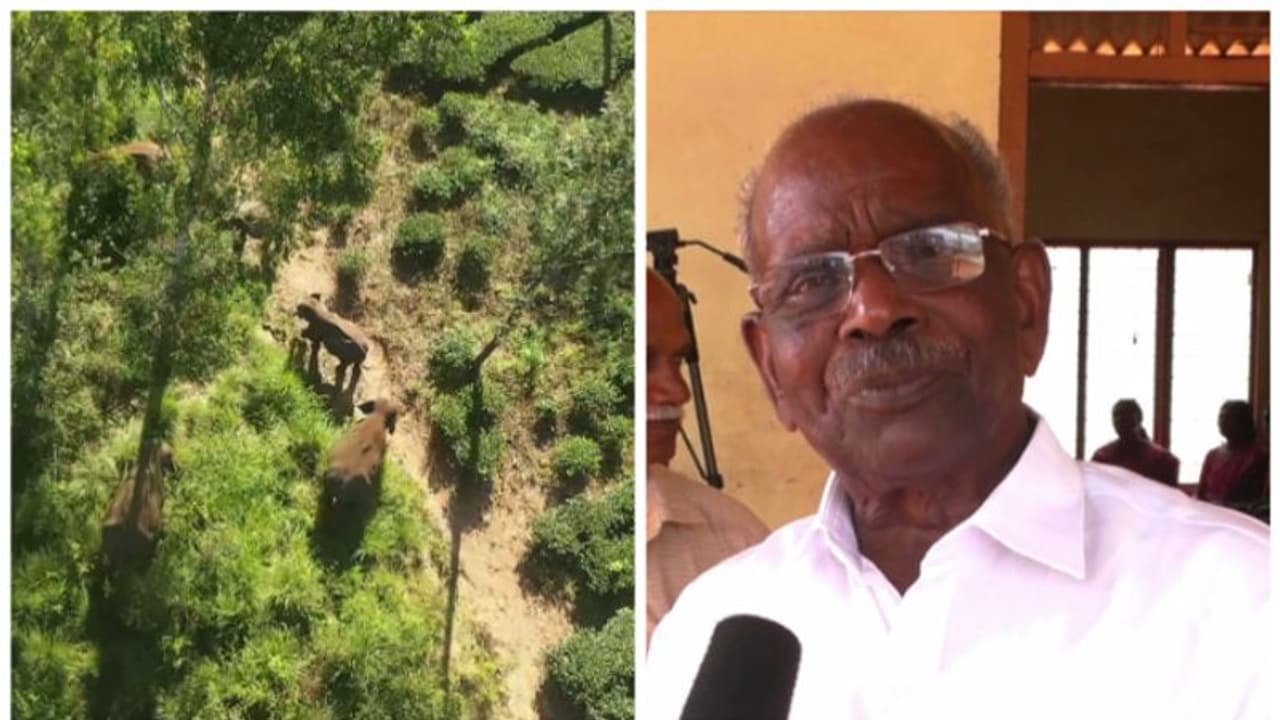 'കാട്ടാനയെ ഉണ്ടാക്കിയത് പിണറായി വിജയനല്ല',ആനയെ പിടിക്കാന് വി.ഡി.സതീശനെ ഏല്പിക്കാം എം.എം.മണി 'കാട്ടാനയെ ഉണ്ടാക്കിയത് പിണറായി വിജയനല്ല',ആനയെ പിടിക്കാന് വി.ഡി.സതീശനെ ഏല്പിക്കാം എം.എം.മണി