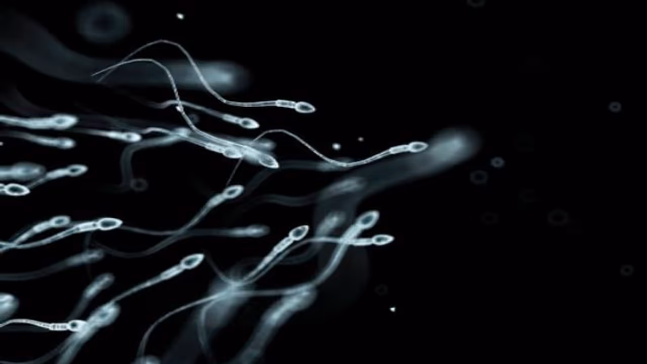 Health Tips : ബീജത്തിന്‍റെ ആരോഗ്യം മെച്ചപ്പെടുത്താം; പുരുഷന്മാര്‍ ഭക്ഷണത്തില്‍ ശ്രദ്ധിക്കേണ്ട കാര്യങ്ങള്‍