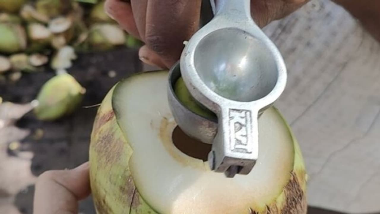 ഇളനീരും ചെറുനാരങ്ങയും മിക്സ് ചെയ്ത് കഴിച്ചിട്ടുണ്ടോ? സംഗതി ട്രെൻഡാണിപ്പോള്... ഇളനീരും ചെറുനാരങ്ങയും മിക്സ് ചെയ്ത് കഴിച്ചിട്ടുണ്ടോ? സംഗതി ട്രെൻഡാണിപ്പോള്...