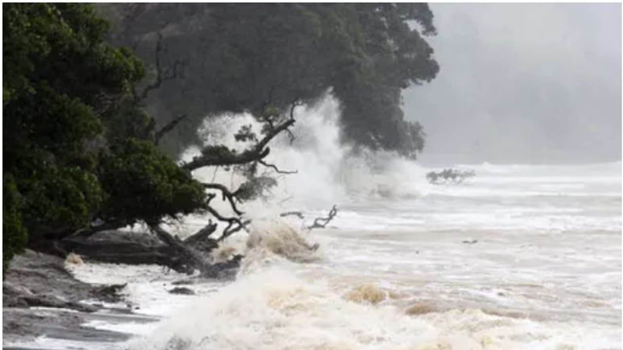 ചുഴലിക്കാറ്റ് നാശം വിതക്കുന്നു, 5 ഇടങ്ങളിൽ അടിയന്തരാവസ്ഥ, അരലക്ഷം പേർക്ക് വീട് നഷ്ടമായി; രക്ഷ തേടി ന്യൂസിലാൻഡ്