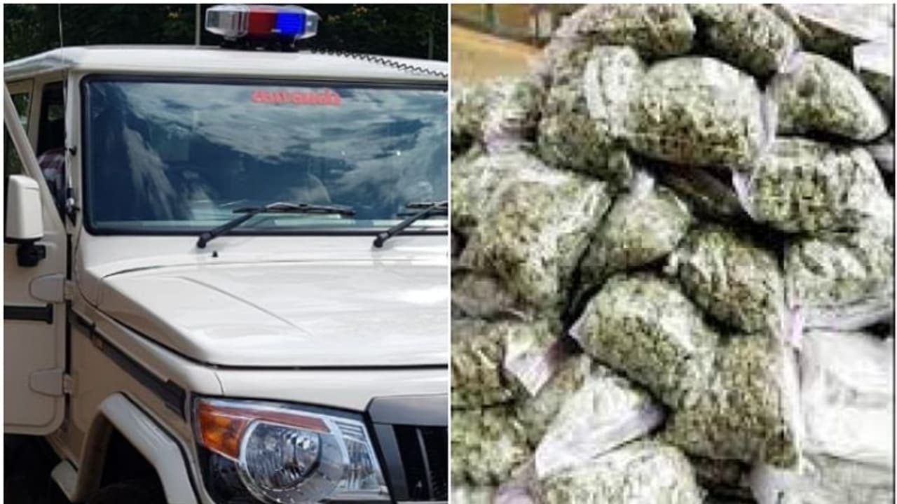 പ്രതികളിൽ നിന്ന് പിടിച്ച കഞ്ചാവ്, അടിച്ചുമാറ്റി കച്ചവടം ഉഷാറാക്കി പൊലീസുകാരൻ; ഒടുവിൽ പിടിക്കപ്പെട്ടു, സസ്പെൻഷൻ