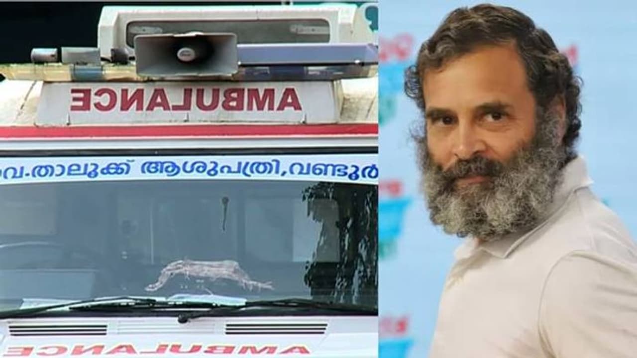 'സൂക്ഷിക്കാൻ സ്ഥലമില്ല'; വണ്ടൂർ താലൂക്ക് ആശുപത്രിയിലേക്ക് രാഹുൽ ഗാന്ധി അയച്ച ഡയാലിസിസ് ഉപകരണങ്ങൾ തിരിച്ചയച്ചു 'സൂക്ഷിക്കാൻ സ്ഥലമില്ല'; വണ്ടൂർ താലൂക്ക് ആശുപത്രിയിലേക്ക് രാഹുൽ ഗാന്ധി അയച്ച ഡയാലിസിസ് ഉപകരണങ്ങൾ തിരിച്ചയച്ചു