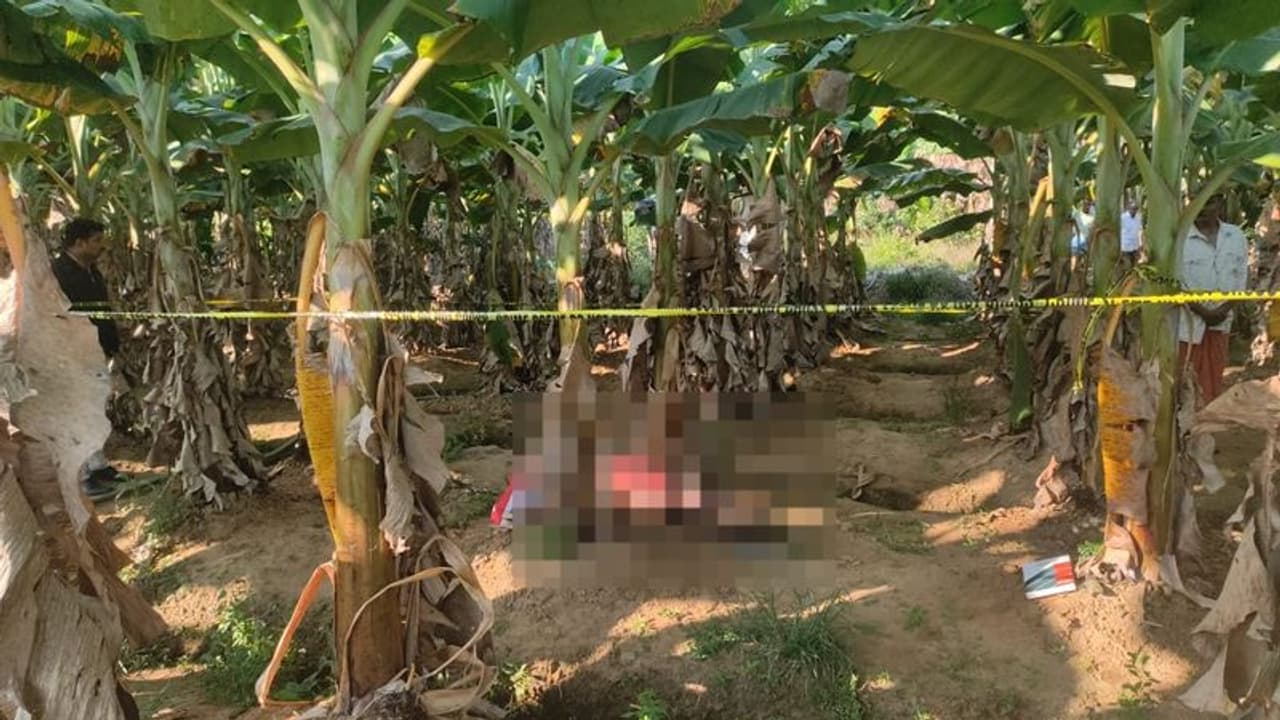 മൃഗങ്ങളെ പേടിച്ച് സ്ഥാപിച്ച വൈദ്യുതി വേലി ജീവനെടുത്തു? മധ്യവയസ്കൻ വാഴത്തോപ്പിൽ മരിച്ച നിലയിൽ മൃഗങ്ങളെ പേടിച്ച് സ്ഥാപിച്ച വൈദ്യുതി വേലി ജീവനെടുത്തു? മധ്യവയസ്കൻ വാഴത്തോപ്പിൽ മരിച്ച നിലയിൽ