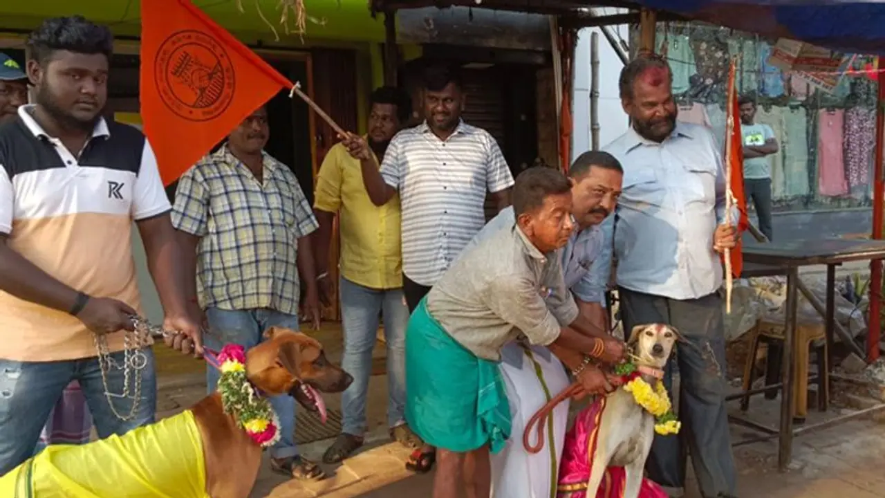காதலர் தினத்திற்கு எதிர்ப்பு.. நாய்களுக்கு திருமணம் செய்துவைத்த இந்து முன்னணி அமைப்பினர்..!