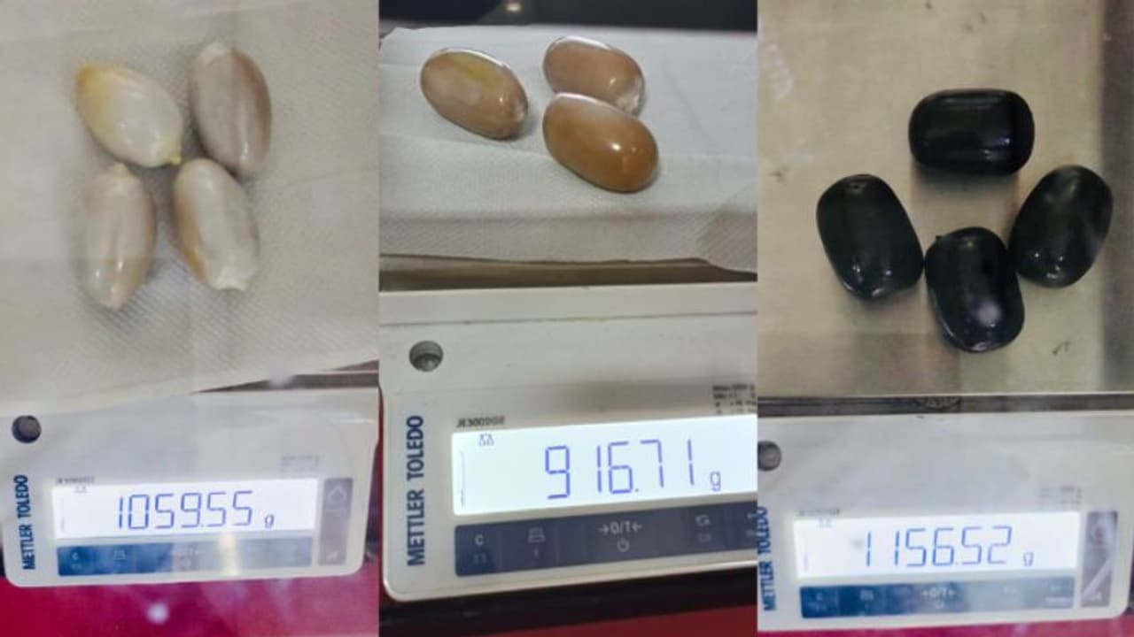 മലദ്വാരത്തിൽ ക്യാപ്സൂൾ രൂപത്തിലാക്കി കടത്ത്; കൊച്ചിയിൽ പിടിച്ചത് 3 കിലോ സ്വർണം, മലപ്പുറം സംഘമെന്ന് സംശയം മലദ്വാരത്തിൽ ക്യാപ്സൂൾ രൂപത്തിലാക്കി കടത്ത്; കൊച്ചിയിൽ പിടിച്ചത് 3 കിലോ സ്വർണം, മലപ്പുറം സംഘമെന്ന് സംശയം