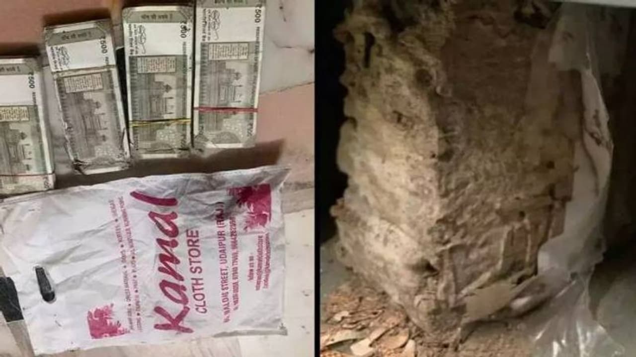 സുരക്ഷിതമായിരിക്കാൻ ലോക്കറിൽ വച്ചു, രണ്ട് ലക്ഷത്തിൽ കൂടുതൽ ബാങ്കിൽ നിന്നും ചിതൽ തിന്നു സുരക്ഷിതമായിരിക്കാൻ ലോക്കറിൽ വച്ചു, രണ്ട് ലക്ഷത്തിൽ കൂടുതൽ ബാങ്കിൽ നിന്നും ചിതൽ തിന്നു