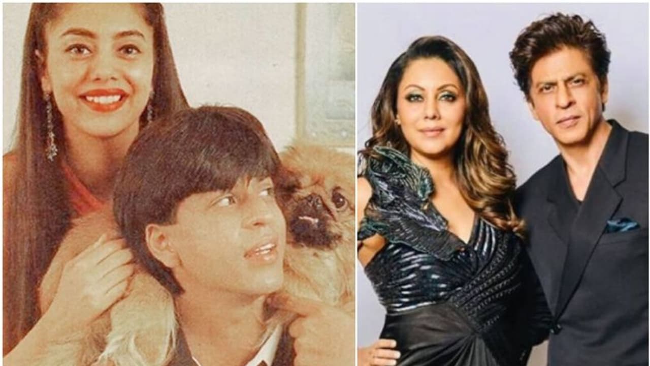 ಮೊದಲ ಪ್ರೇಮಿಗಳ ದಿನಕ್ಕೆ ಶಾರುಖ್ ತನ್ನ ಪತ್ನಿಗೆ ಕೊಟ್ಟ ಗಿಫ್ಟ್ ಏನು? ಸುಂದರ ಕ್ಷಣ ನೆನೆದ ಪಠಾಣ್ ಸ್ಟಾರ್ ಮೊದಲ ಪ್ರೇಮಿಗಳ ದಿನಕ್ಕೆ ಶಾರುಖ್ ತನ್ನ ಪತ್ನಿಗೆ ಕೊಟ್ಟ ಗಿಫ್ಟ್ ಏನು? ಸುಂದರ ಕ್ಷಣ ನೆನೆದ ಪಠಾಣ್ ಸ್ಟಾರ್