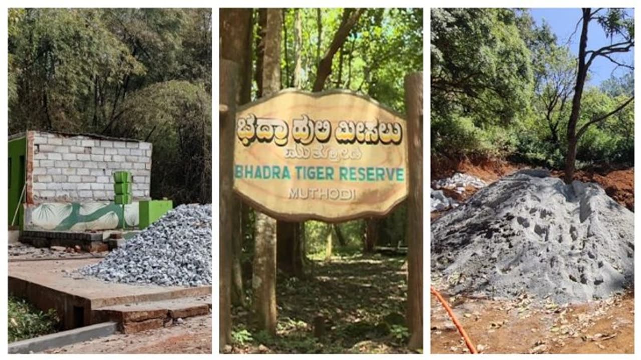 ಭದ್ರಾ ಹುಲಿ ಸಂರಕ್ಷಿತ ಪ್ರದೇಶದಲ್ಲಿ ಸಿವಿಲ್ ಕಾಮಗಾರಿ, ಬದುಕು ಕಳೆದುಕೊಳ್ಳುತ್ತಿರುವ ವನ್ಯಪ್ರಾಣಿಗಳು
