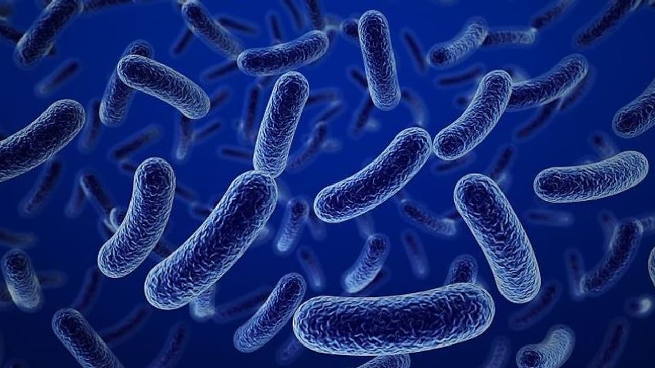 Health Tips : റുവാണ്ടയെ ഭീതിയിലാഴ്ത്തി മാര്‍ബര്‍ഗ് വൈറസ് ; അറിയേണ്ടതെല്ലാം