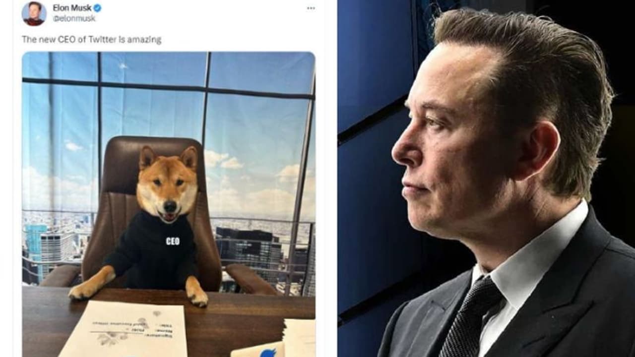 ఎలాన్ మస్క్ తలతిక్క పని, భారతీయ సంతతికి చెందిన ట్విట్టర్ మాజీ సీఈవో పరాగ్ అగర్వాల్కు కుక్కతో పోల్చుతూ పోస్ట్ ఎలాన్ మస్క్ తలతిక్క పని, భారతీయ సంతతికి చెందిన ట్విట్టర్ మాజీ సీఈవో పరాగ్ అగర్వాల్కు కుక్కతో పోల్చుతూ పోస్ట్