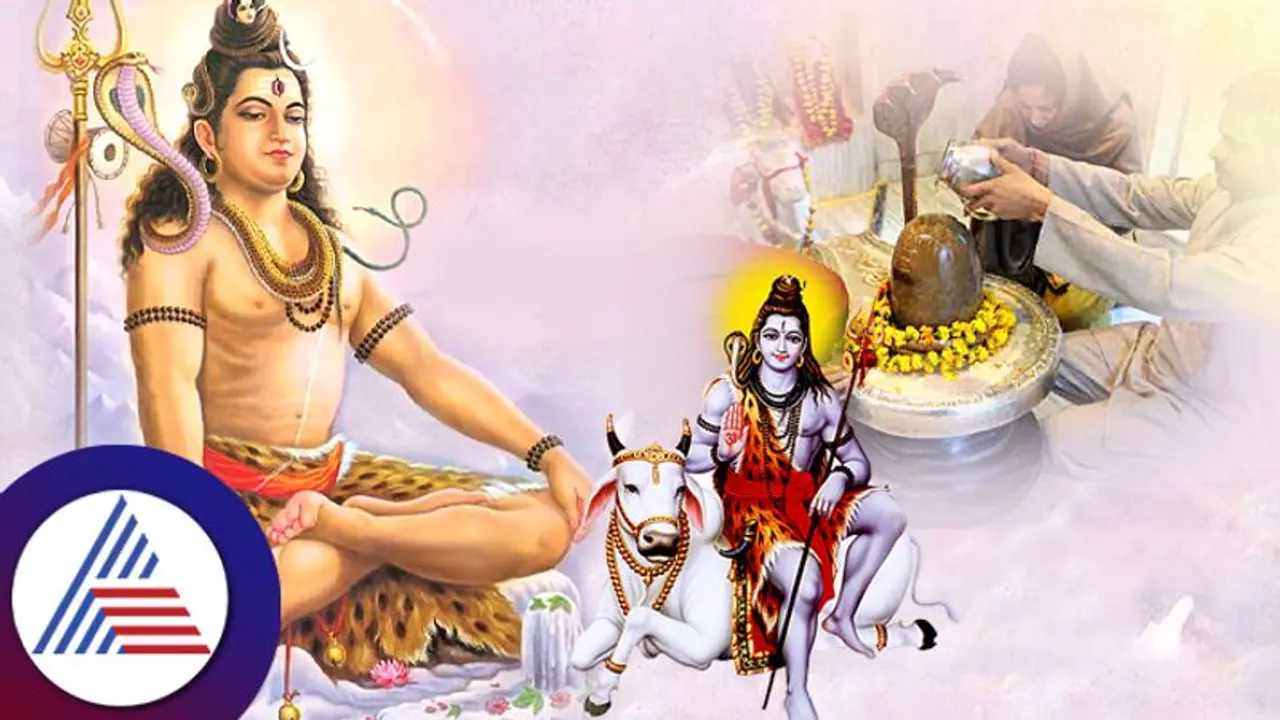 Mahashivratri : ಶಿವ ಒಲಿಬೇಕೆಂದ್ರೆ ಅಭಿಷೇಕ ಮಾಡುವಾಗ ಈ ತಪ್ಪು ಮಾಡ್ಬೇಡಿ! Mahashivratri : ಶಿವ ಒಲಿಬೇಕೆಂದ್ರೆ ಅಭಿಷೇಕ ಮಾಡುವಾಗ ಈ ತಪ್ಪು ಮಾಡ್ಬೇಡಿ!