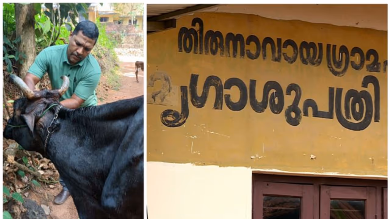 കയ്യേറ്റം ചെയ്തെന്ന് വനിതാ ഡോക്ടർ, മലപ്പുറത്ത് ലൈവ് സ്റ്റോക്ക് ഇന്‍സ്പെക്ടർ അറസ്റ്റിൽ; വ്യാജപരാതിയെന്ന് കുടുബം