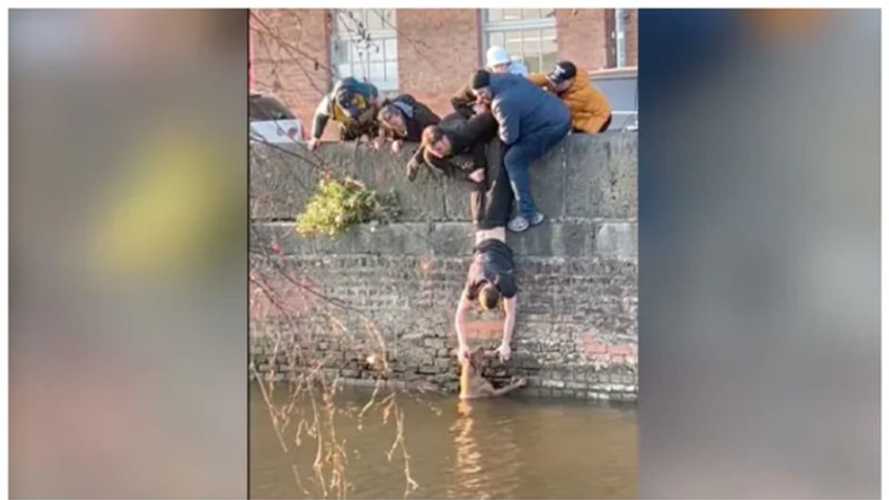 കനാലിൽ വീണുപോയ നായ്ക്കുട്ടിക്ക് രക്ഷകരായി വിദ്യാർത്ഥികൾ; സാഹസികമെന്ന് കാഴ്ചക്കാർ; വീഡിയോ കാണാം കനാലിൽ വീണുപോയ നായ്ക്കുട്ടിക്ക് രക്ഷകരായി വിദ്യാർത്ഥികൾ; സാഹസികമെന്ന് കാഴ്ചക്കാർ; വീഡിയോ കാണാം