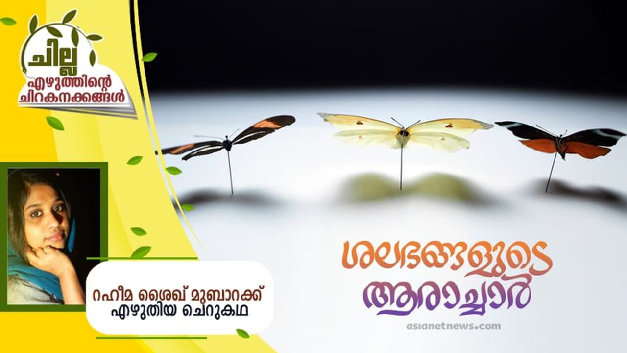Malayalam Short Story: ശലഭങ്ങളുടെ ആരാച്ചാര്, റഹീമ ശൈഖ് മുബാറക്ക് എഴുതിയ ചെറുകഥ Malayalam Short Story: ശലഭങ്ങളുടെ ആരാച്ചാര്, റഹീമ ശൈഖ് മുബാറക്ക് എഴുതിയ ചെറുകഥ