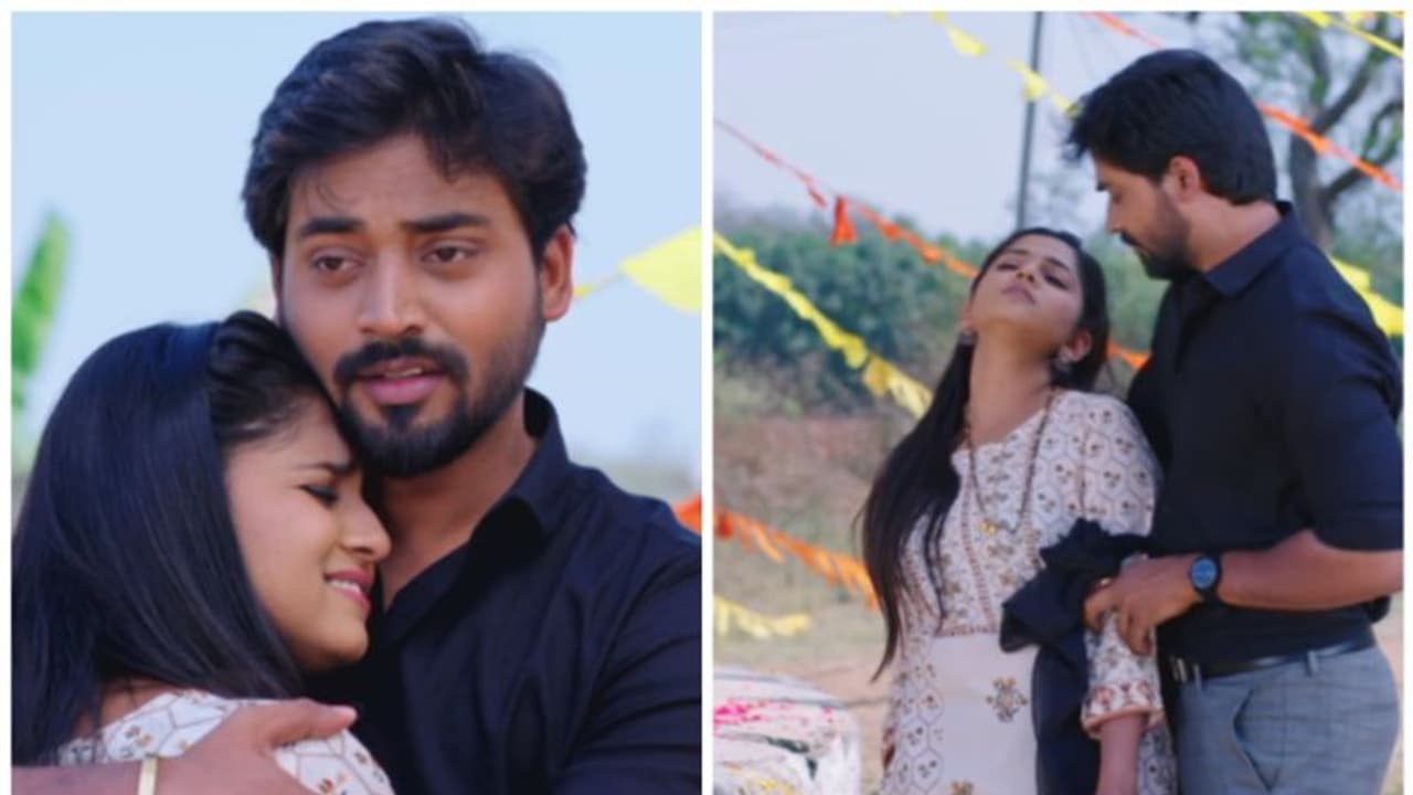 Guppedantha Manasu: రిషికి అసలు నిజం చెప్పిన వసుధార.. కళ్ళు తిరిగి పడిపోయిన వసు?