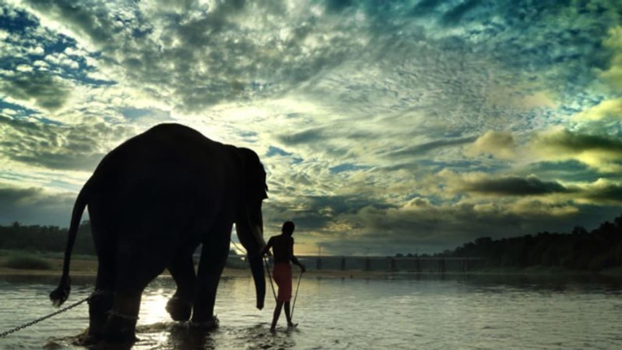 വിനോദ സഞ്ചാരികളുടെ എണ്ണത്തിൽ വൻ കുതിപ്പ്, കേരളത്തിന് കൈ നിറയെ പണം; കിട്ടിയത് 35168 കോടി വിനോദ സഞ്ചാരികളുടെ എണ്ണത്തിൽ വൻ കുതിപ്പ്, കേരളത്തിന് കൈ നിറയെ പണം; കിട്ടിയത് 35168 കോടി