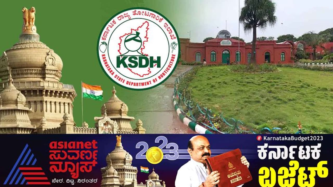 Karnataka Budget 2023 ತೋಟಗಾರಿಕಾ ಬೆಳೆಗಳ ಮೌಲ್ಯವರ್ಧನೆಗೆ ಆದ್ಯತೆ;ತಿಪಟೂರಿನಲ್ಲಿ ತೋಟಗಾರಿಕಾ ಮಹಾವಿದ್ಯಾಲಯ Karnataka Budget 2023 ತೋಟಗಾರಿಕಾ ಬೆಳೆಗಳ ಮೌಲ್ಯವರ್ಧನೆಗೆ ಆದ್ಯತೆ;ತಿಪಟೂರಿನಲ್ಲಿ ತೋಟಗಾರಿಕಾ ಮಹಾವಿದ್ಯಾಲಯ