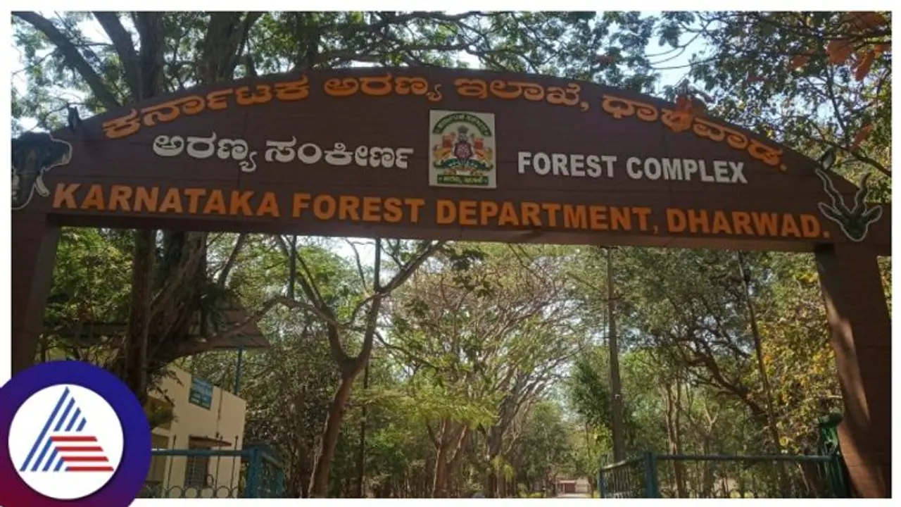 Dharwad: ಅಪಾಯಕಾರಿ ಸ್ಧಿತಿಯಲ್ಲಿರುವ 192 ಮರಗಳ ಹರಾಜು, ಫೆ.19 ರೊಳಗೆ ತಕರಾರು ಸಲ್ಲಿಸಲು ಅವಕಾಶ Dharwad: ಅಪಾಯಕಾರಿ ಸ್ಧಿತಿಯಲ್ಲಿರುವ 192 ಮರಗಳ ಹರಾಜು, ಫೆ.19 ರೊಳಗೆ ತಕರಾರು ಸಲ್ಲಿಸಲು ಅವಕಾಶ