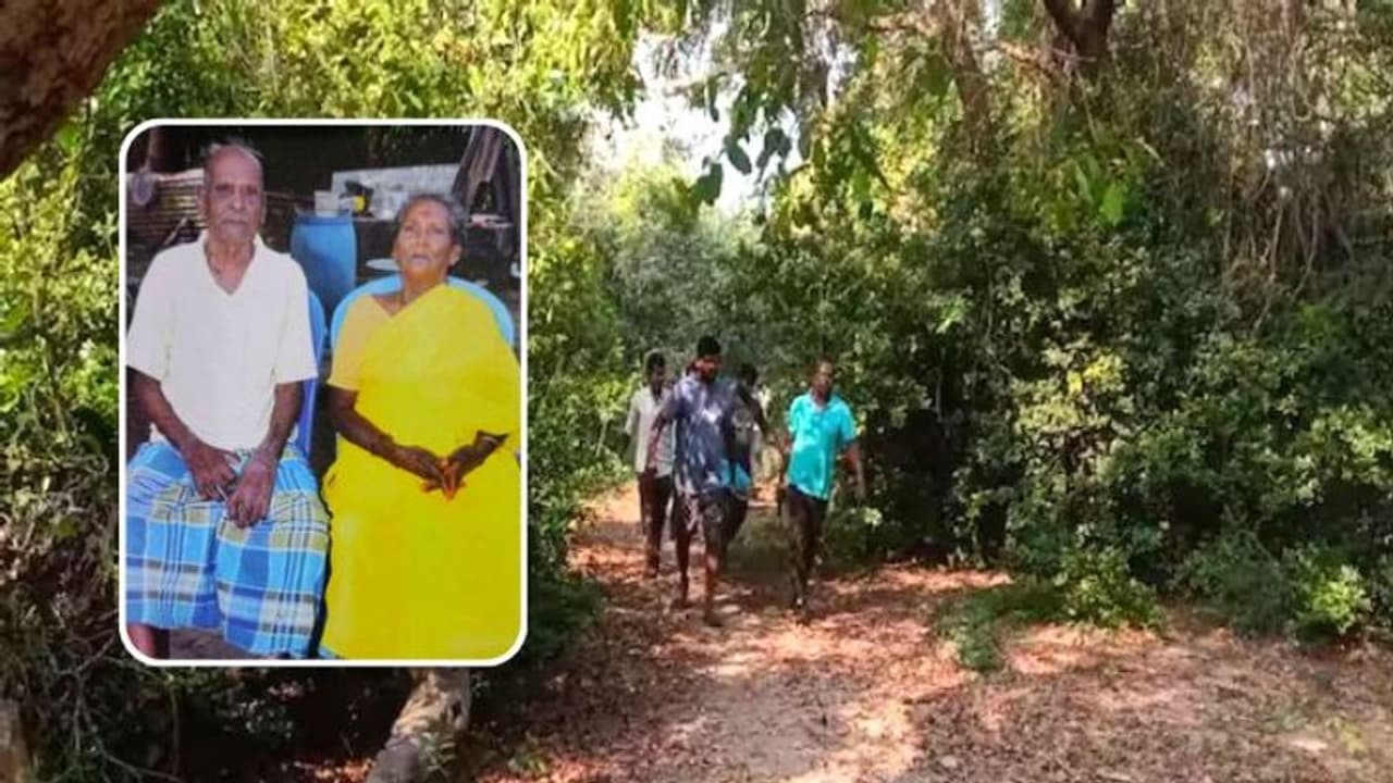 “முந்திரி தோப்பில்” நகைக்காக நடு இரவில் நடந்த பகீர் கொலை.. அதிர வைக்கும் பின்னணி !!