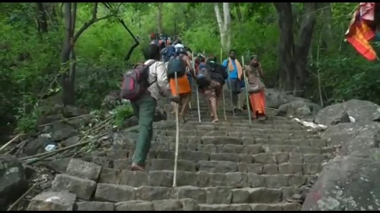 கோவை வெள்ளியங்கிரி மலை கோவிலில் இன்று முதல் பக்தர்கள் அனுமதி கோவை வெள்ளியங்கிரி மலை கோவிலில் இன்று முதல் பக்தர்கள் அனுமதி