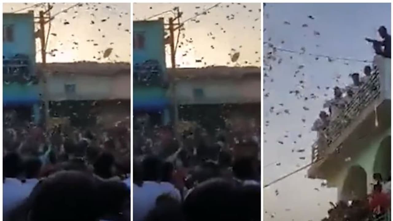 ടെറസിൽനിന്ന് ലക്ഷങ്ങളുടെ നോട്ടുക്കെട്ടുകൾ വാരിയെറിഞ്ഞ് വമ്പൻ കല്യാണ ആഘോഷം; വാരിക്കൂട്ടാൻ തിങ്ങിക്കൂടി ജനം ടെറസിൽനിന്ന് ലക്ഷങ്ങളുടെ നോട്ടുക്കെട്ടുകൾ വാരിയെറിഞ്ഞ് വമ്പൻ കല്യാണ ആഘോഷം; വാരിക്കൂട്ടാൻ തിങ്ങിക്കൂടി ജനം