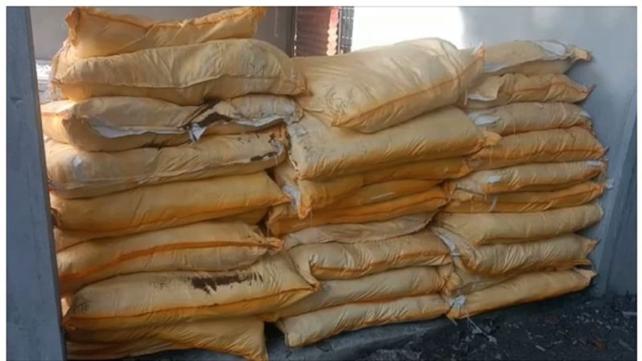 കരുനാഗപ്പള്ളിയിൽ വീണ്ടും പാൻമസാല വേട്ട; 50 ലക്ഷത്തോളം രൂപയുടെ പാൻമസാല പിടികൂടി