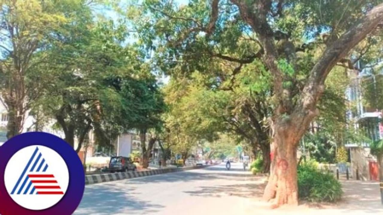 Sankey Road: ಸ್ಯಾಂಕಿ ರಸ್ತೆಯಲ್ಲಿ ಫ್ಲೈಓವರ್ ನಿರ್ಮಾಣಕ್ಕೆ ನಾಗರಿಕರು ತೀವ್ರ ವಿರೋಧ Sankey Road: ಸ್ಯಾಂಕಿ ರಸ್ತೆಯಲ್ಲಿ ಫ್ಲೈಓವರ್ ನಿರ್ಮಾಣಕ್ಕೆ ನಾಗರಿಕರು ತೀವ್ರ ವಿರೋಧ