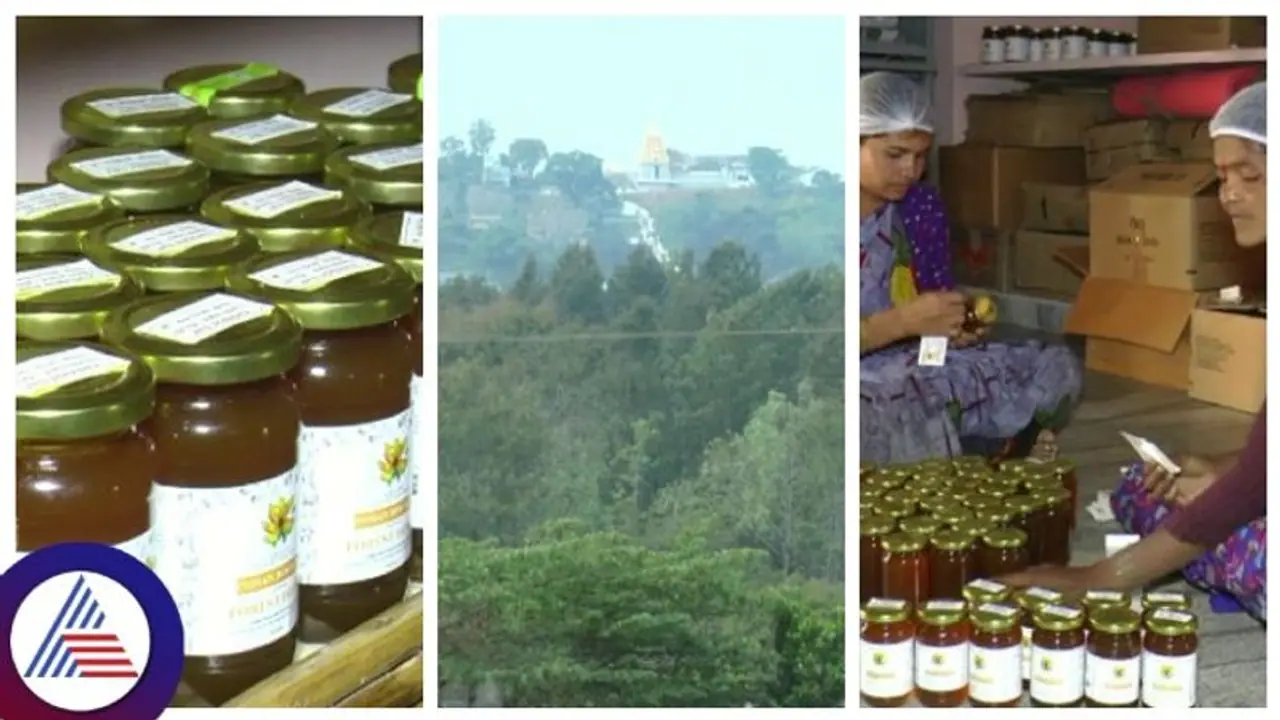 ಬಿಳಿಗಿರಿರಂಗನ ಬೆಟ್ಟದಲ್ಲಿ ಸಿಗುತ್ತೆ 4 ತರಹದ ಜೇನು ತುಪ್ಪ, ಸಿಹಿಯಷ್ಟೆ ಅಲ್ಲ ಕಹಿ ಜೇನು ಕೂಡ ಇದೆ! ಬಿಳಿಗಿರಿರಂಗನ ಬೆಟ್ಟದಲ್ಲಿ ಸಿಗುತ್ತೆ 4 ತರಹದ ಜೇನು ತುಪ್ಪ, ಸಿಹಿಯಷ್ಟೆ ಅಲ್ಲ ಕಹಿ ಜೇನು ಕೂಡ ಇದೆ!