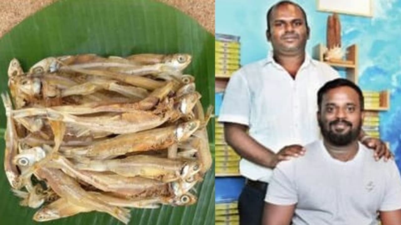 Startups: ஐடி வேலையை விட்டு, கருவாடு விற்பனையில் கலக்கும் நண்பர்கள் Startups: ஐடி வேலையை விட்டு, கருவாடு விற்பனையில் கலக்கும் நண்பர்கள்