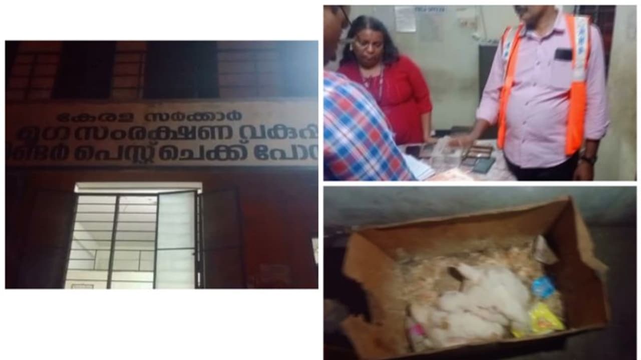 കോഴി കോഴയായി; മൃഗസംരക്ഷണ വകുപ്പ് ചെക്ക്പോസ്റ്റിലെ അഴിമതി പിടികൂടി വിജിലൻസ് കോഴി കോഴയായി; മൃഗസംരക്ഷണ വകുപ്പ് ചെക്ക്പോസ്റ്റിലെ അഴിമതി പിടികൂടി വിജിലൻസ്