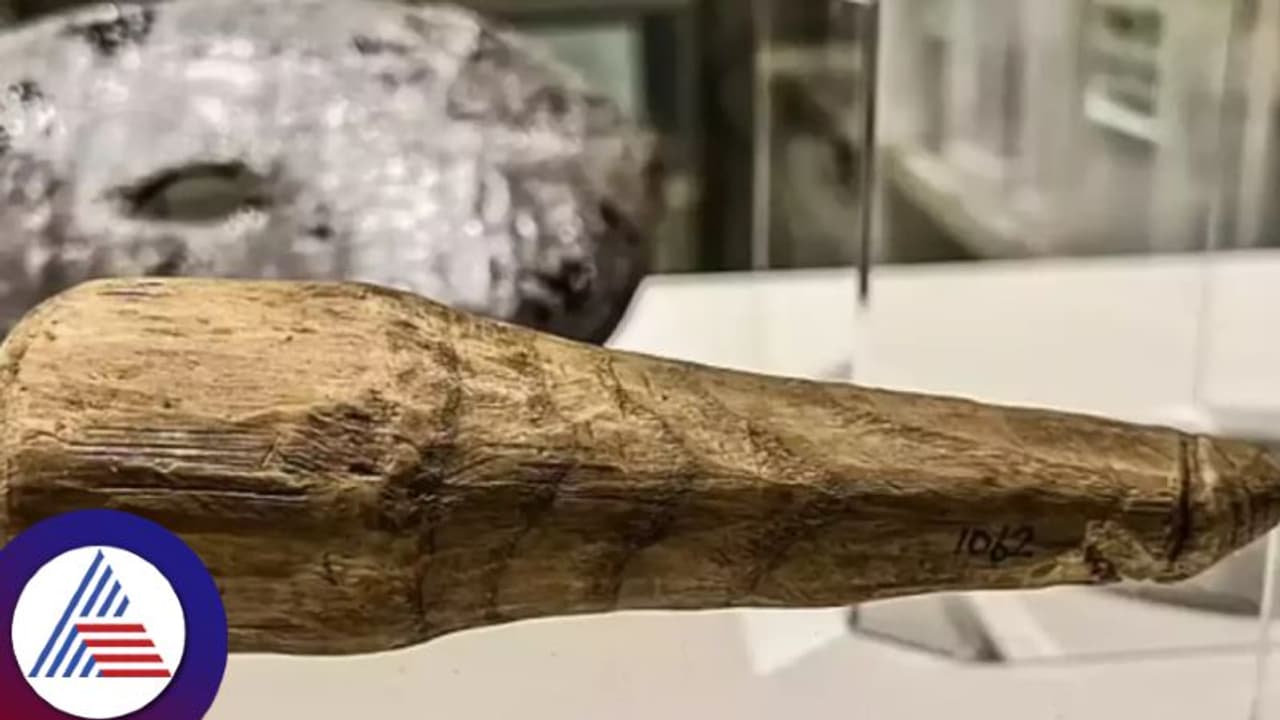 6.3 ಇಂಚಿನ ಮರದ ದೊಣ್ಣೆ, 2000 ವರ್ಷಗಳ ಹಿಂದೆಯೇ ಬಳಕೆಯಲ್ಲಿತ್ತಾ ಸೆಕ್ಸ್ ಟಾಯ್?