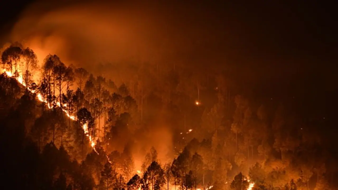 ഏഥൻസിൽ കാട്ടുതീ പടരുന്നു, മാറ്റിപ്പാർപ്പിച്ചത് ആയിരങ്ങളെ, കൊടും ചൂടിൽ സഹായമെത്തിക്കാൻ യൂറോപ്യൻ രാജ്യങ്ങൾ ഏഥൻസിൽ കാട്ടുതീ പടരുന്നു, മാറ്റിപ്പാർപ്പിച്ചത് ആയിരങ്ങളെ, കൊടും ചൂടിൽ സഹായമെത്തിക്കാൻ യൂറോപ്യൻ രാജ്യങ്ങൾ