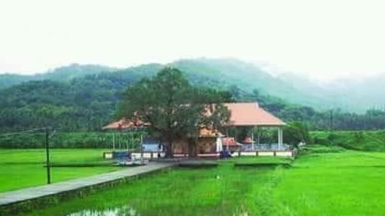 സുരക്ഷ ഉറപ്പാക്കുമെന്ന് ആഘോഷക്കമ്മിറ്റിയുടെ ഉറപ്പ്; ഉത്രാളിക്കാവിൽ വെടിക്കെട്ടിന് അനുമതി