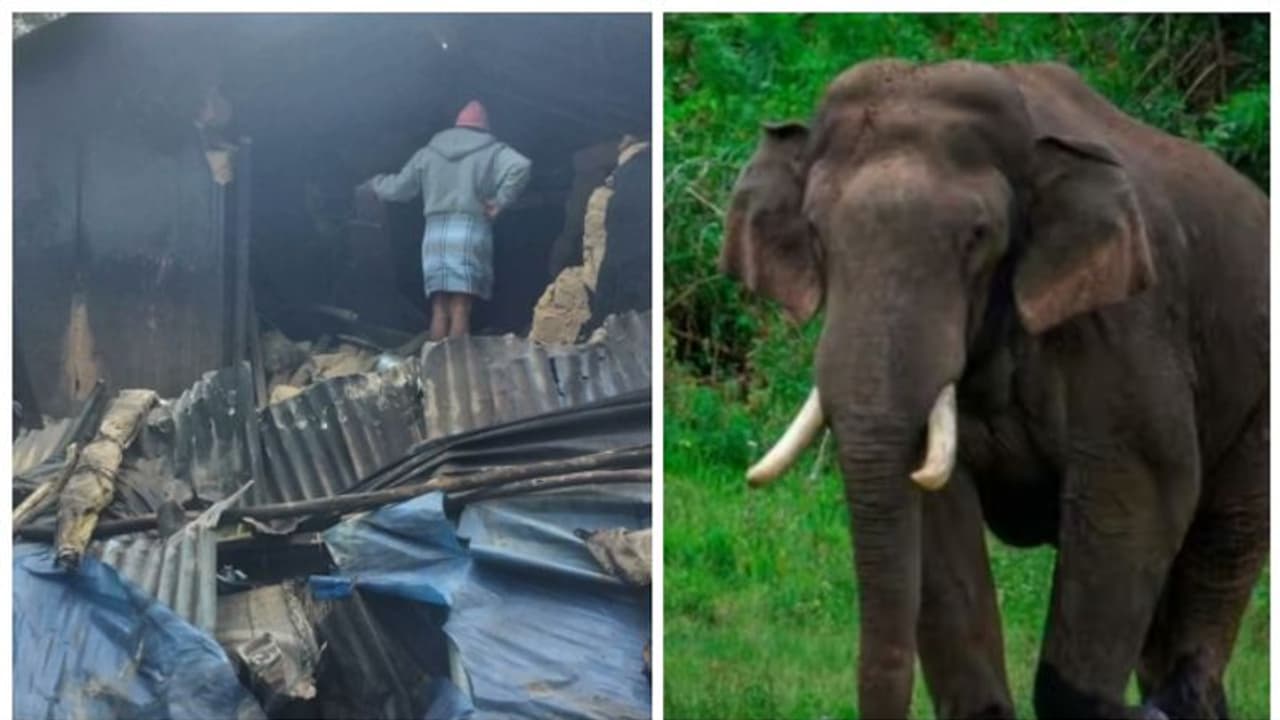 വീണ്ടും നാട്ടിലിറങ്ങി 'അരിക്കൊമ്പൻ'; രണ്ട് വീടുകൾ തകർത്തു, വനംവകുപ്പ് ഉദ്യോഗസ്ഥരുടെ യോഗം ഇന്ന്