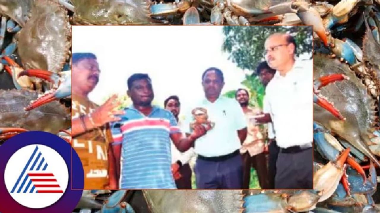 Crab Farming: ಏಡಿ ಕೃಷಿ: ವಿನೂತನ ಪ್ರಯೋಗ ಮಾಡಿ ಗೆದ್ದ ಕಲಘಟಗಿ ರೈತ! Crab Farming: ಏಡಿ ಕೃಷಿ: ವಿನೂತನ ಪ್ರಯೋಗ ಮಾಡಿ ಗೆದ್ದ ಕಲಘಟಗಿ ರೈತ!