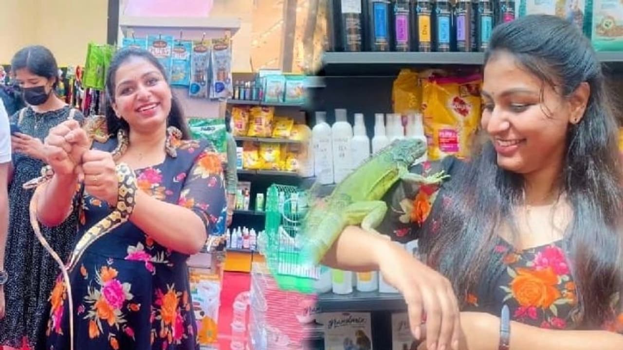 പാമ്പിനെ കഴുത്തില്‍ ചുറ്റി സീരിയല്‍ താരം റിനി, ധൈര്യശാലിയെന്ന് പ്രേക്ഷകർ വീഡിയോ