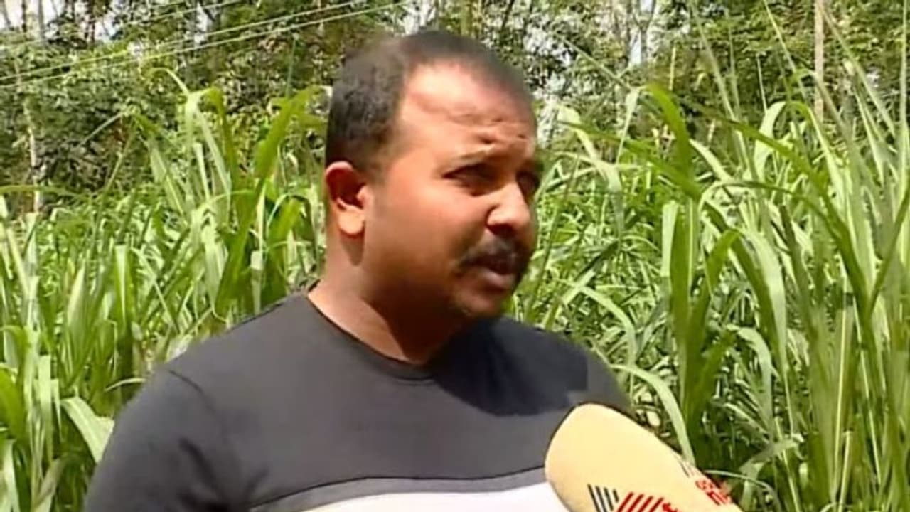 സിപിഐ നേതാവ് എ പി ജയനെതിരെ അനധികൃത സ്വത്ത് സമ്പാദന പരാതി: ഫാമിനായി പണം നിക്ഷേപിച്ചത് താനെന്ന് ജയൻ്റെ മരുമകൻ സിപിഐ നേതാവ് എ പി ജയനെതിരെ അനധികൃത സ്വത്ത് സമ്പാദന പരാതി: ഫാമിനായി പണം നിക്ഷേപിച്ചത് താനെന്ന് ജയൻ്റെ മരുമകൻ