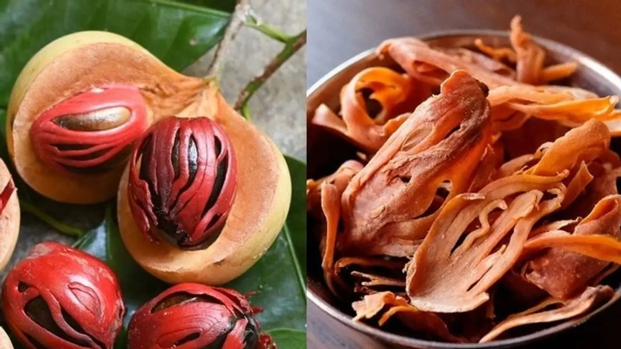 జాపత్రి ఆడవాళ్లకు ఓ వరం.. ఏయే లాభాలు ఉన్నాయంటే? జాపత్రి ఆడవాళ్లకు ఓ వరం.. ఏయే లాభాలు ఉన్నాయంటే?