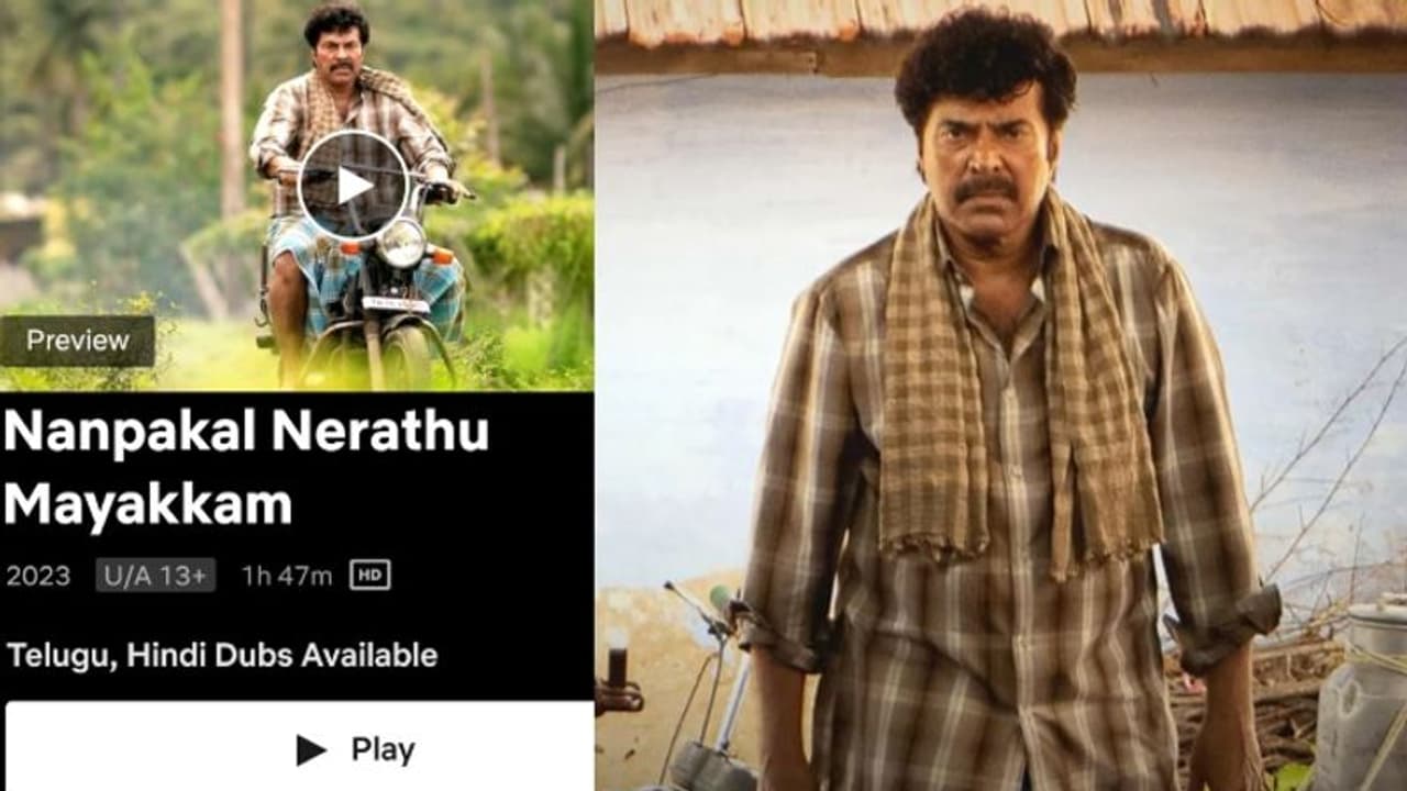 'മമ്മൂട്ടി, ഓ മൈ ​ഗോഡ്'! നന്‍പകല്‍ നെറ്റ്ഫ്ലിക്സില്‍; പ്രശംസ കൊണ്ട് മൂടി പാന്‍ ഇന്ത്യന്‍ പ്രേക്ഷകര്‍