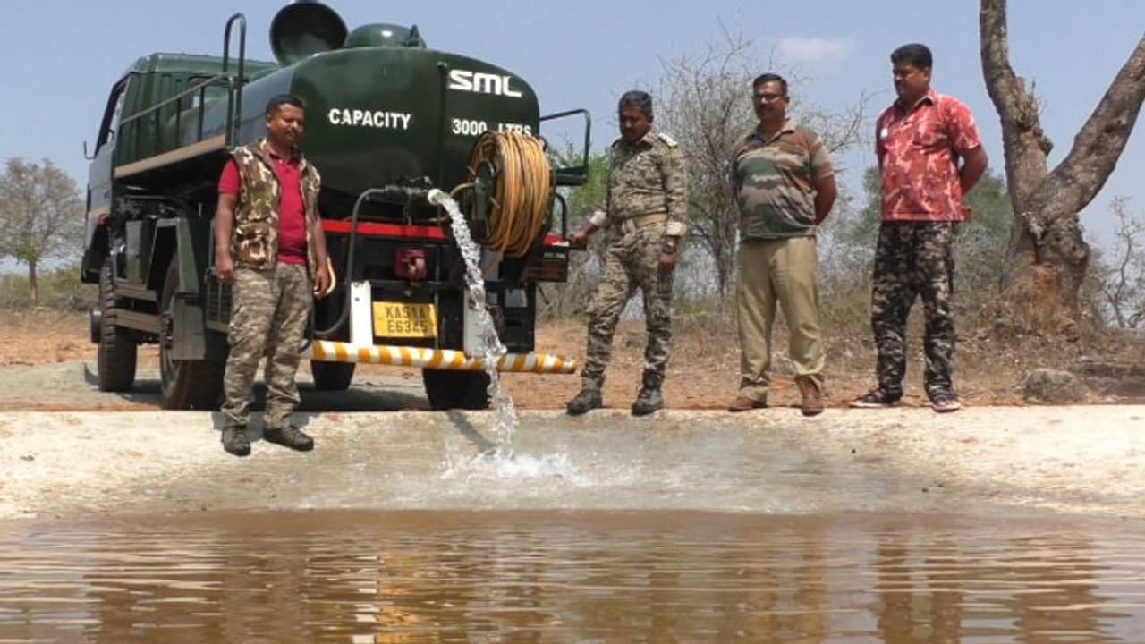 മുതുമല വനം വരള്ച്ചയുടെ പിടിയില്; കാട്ടിനുള്ളിലെ കൃത്രിമ ജലസംഭരണികള് നിറച്ച് വനംവകുപ്പ് മുതുമല വനം വരള്ച്ചയുടെ പിടിയില്; കാട്ടിനുള്ളിലെ കൃത്രിമ ജലസംഭരണികള് നിറച്ച് വനംവകുപ്പ്