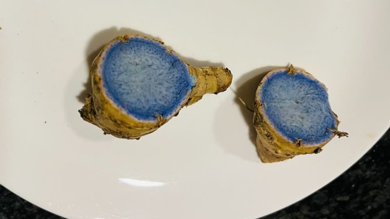 എന്താണ് ബ്ലൂ ജിഞ്ചര്; സോഷ്യല് മീഡിയയിലെ പുതിയ ചര്ച്ച! എന്താണ് ബ്ലൂ ജിഞ്ചര്; സോഷ്യല് മീഡിയയിലെ പുതിയ ചര്ച്ച!