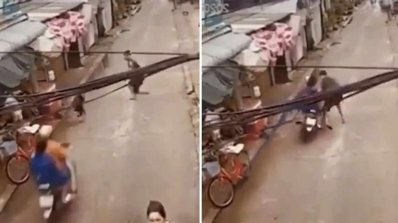 Watch: Man's lightning reflex saves toddler from being hit by bike; netizens showers praises