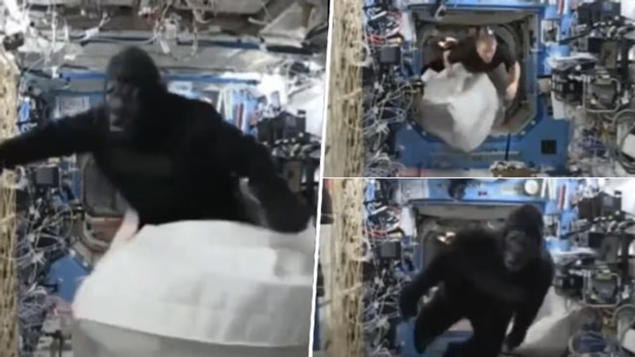 Astronaut sports Gorilla suit on ISS to prank crew member; watch old viral video